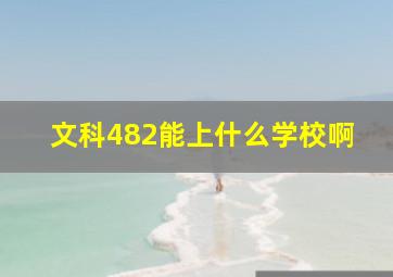 文科482能上什么学校啊