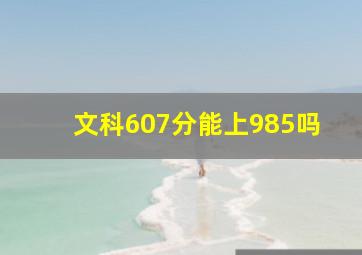 文科607分能上985吗