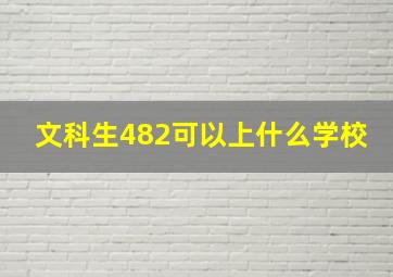 文科生482可以上什么学校