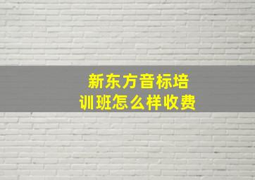 新东方音标培训班怎么样收费