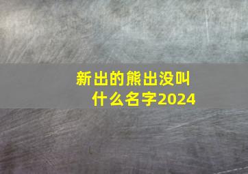 新出的熊出没叫什么名字2024