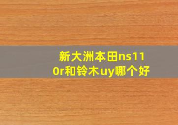 新大洲本田ns110r和铃木uy哪个好