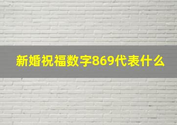 新婚祝福数字869代表什么