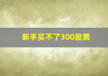 新手买不了300股票