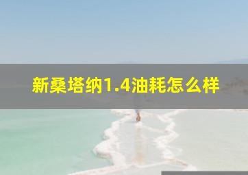 新桑塔纳1.4油耗怎么样