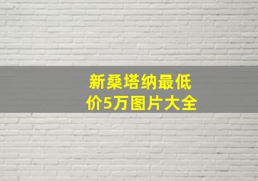 新桑塔纳最低价5万图片大全