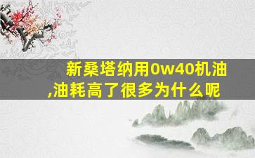 新桑塔纳用0w40机油,油耗高了很多为什么呢