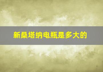 新桑塔纳电瓶是多大的