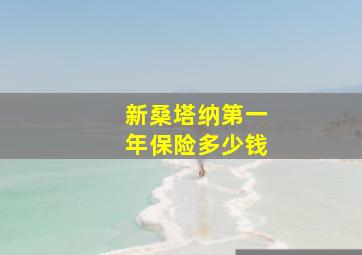 新桑塔纳第一年保险多少钱