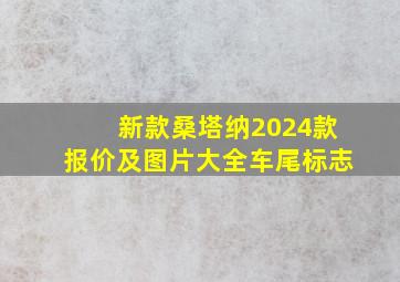 新款桑塔纳2024款报价及图片大全车尾标志