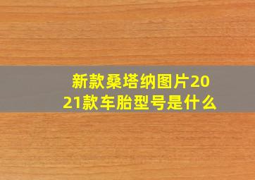 新款桑塔纳图片2021款车胎型号是什么