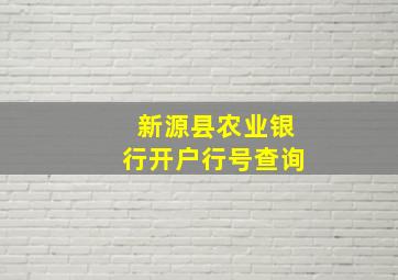 新源县农业银行开户行号查询