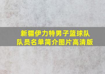 新疆伊力特男子篮球队队员名单简介图片高清版