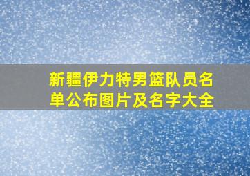 新疆伊力特男篮队员名单公布图片及名字大全