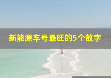 新能源车号最旺的5个数字