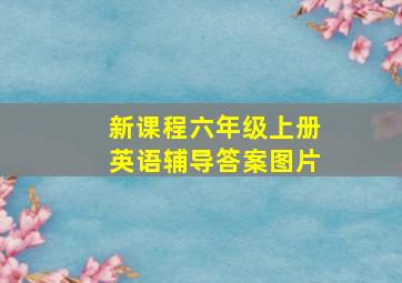 新课程六年级上册英语辅导答案图片