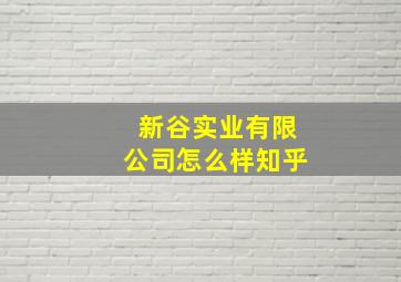 新谷实业有限公司怎么样知乎