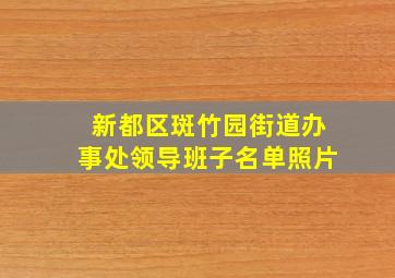 新都区斑竹园街道办事处领导班子名单照片