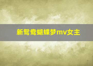 新鸳鸯蝴蝶梦mv女主