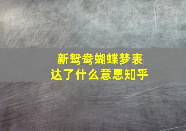 新鸳鸯蝴蝶梦表达了什么意思知乎