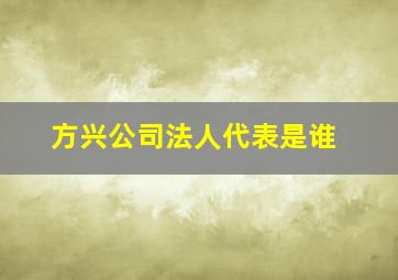 方兴公司法人代表是谁