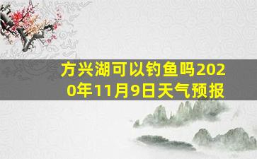 方兴湖可以钓鱼吗2020年11月9日天气预报