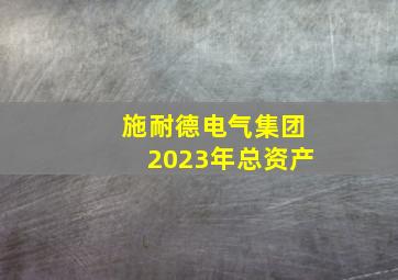 施耐德电气集团2023年总资产