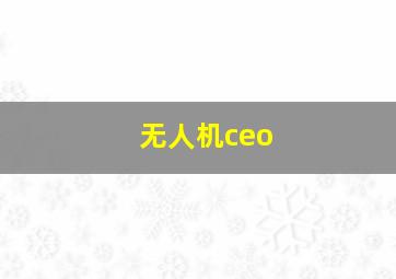 无人机ceo