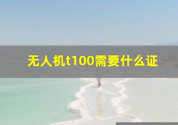 无人机t100需要什么证