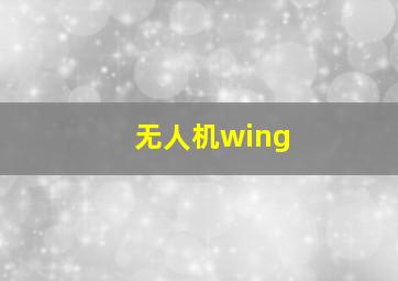 无人机wing