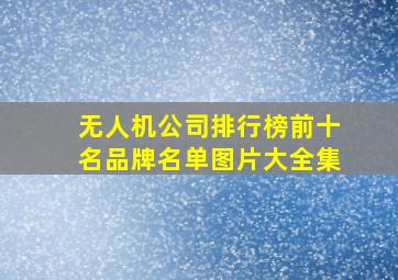 无人机公司排行榜前十名品牌名单图片大全集