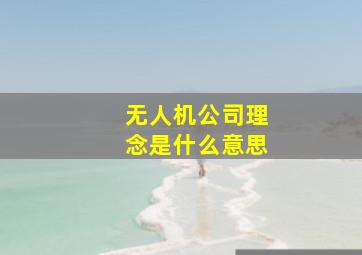 无人机公司理念是什么意思