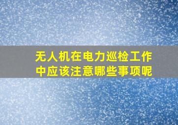 无人机在电力巡检工作中应该注意哪些事项呢