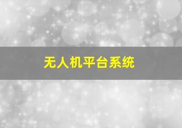 无人机平台系统