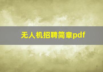 无人机招聘简章pdf