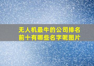 无人机最牛的公司排名前十有哪些名字呢图片