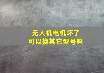 无人机电机坏了可以换其它型号吗