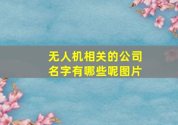 无人机相关的公司名字有哪些呢图片