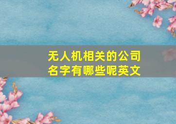 无人机相关的公司名字有哪些呢英文