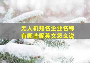 无人机知名企业名称有哪些呢英文怎么说