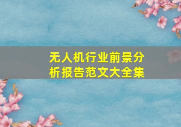 无人机行业前景分析报告范文大全集