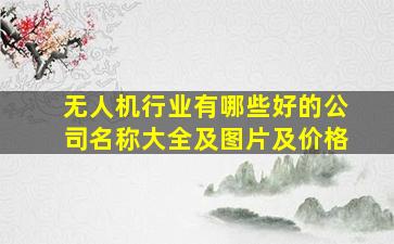 无人机行业有哪些好的公司名称大全及图片及价格