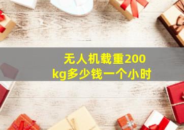 无人机载重200kg多少钱一个小时