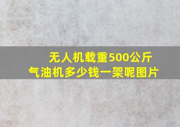 无人机载重500公斤气油机多少钱一架呢图片