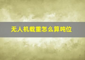 无人机载重怎么算吨位