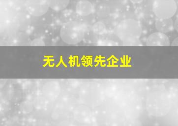 无人机领先企业