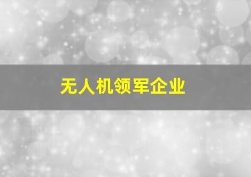 无人机领军企业