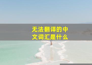 无法翻译的中文词汇是什么