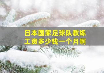 日本国家足球队教练工资多少钱一个月啊