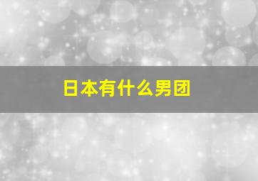 日本有什么男团